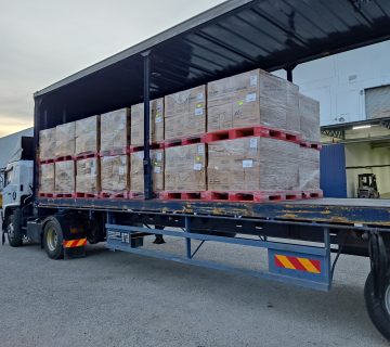 IMG 20230112 192018 360x320